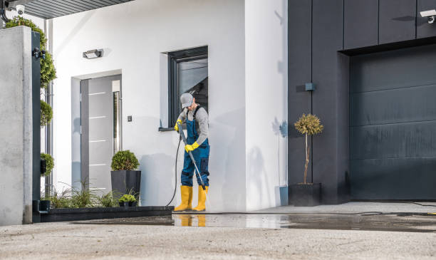 Best Driveway Pressure Washing  in Wanatah, IN